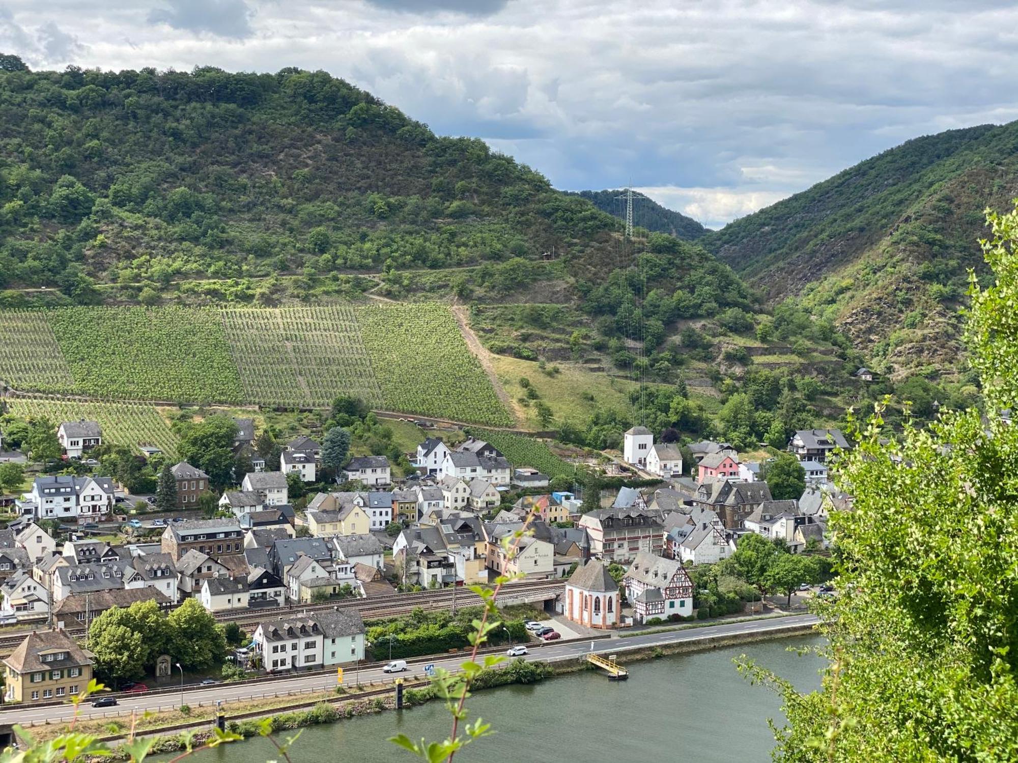 Mike'S Mosel Lodge Treis-Karden Bagian luar foto
