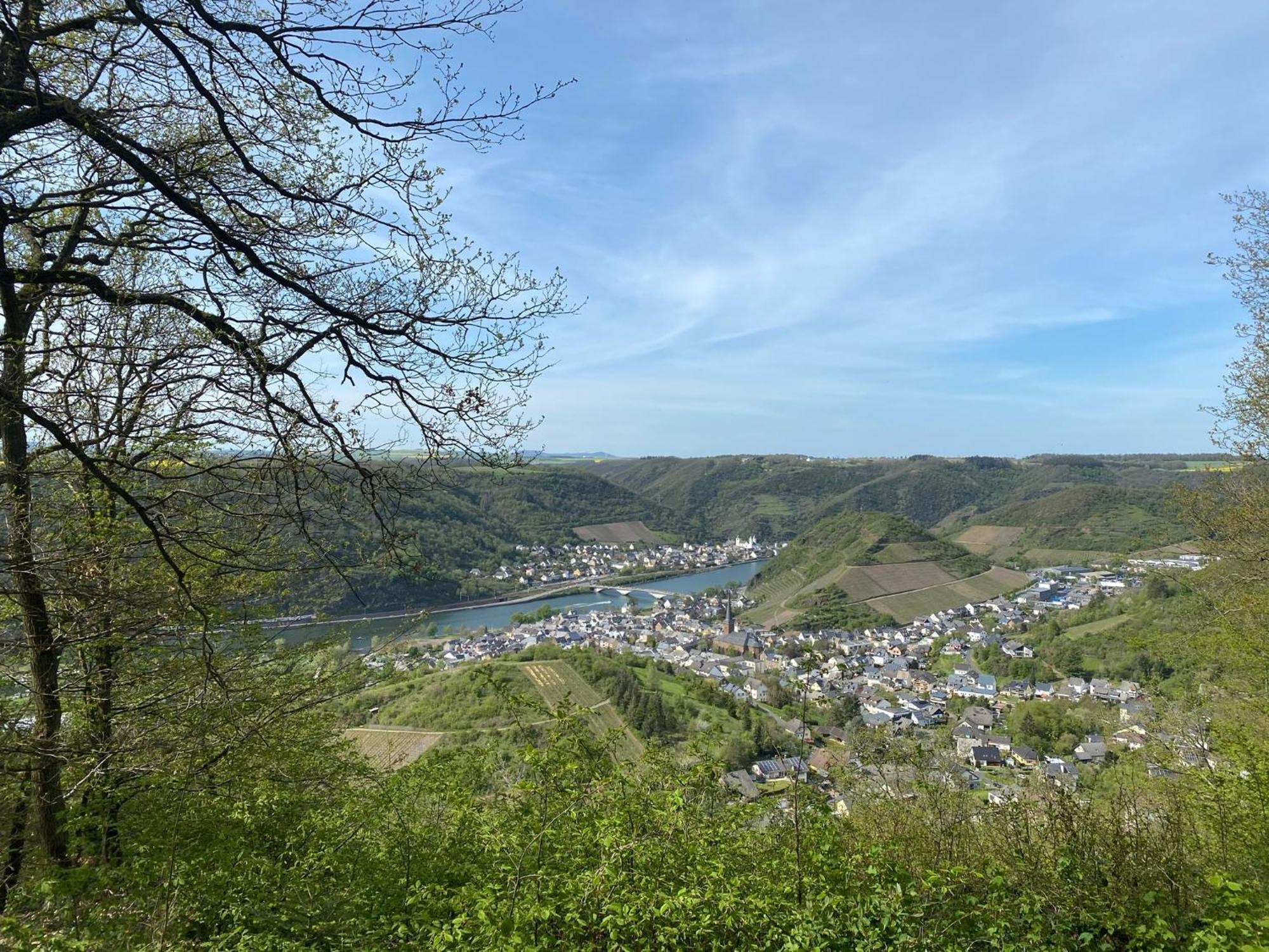 Mike'S Mosel Lodge Treis-Karden Bagian luar foto